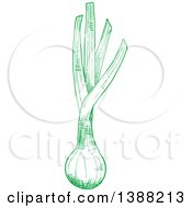 Clipart Of A Sketched Green Leek Royalty Free Vector Illustration