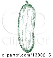 Clipart Of A Sketched Green Cucumber Royalty Free Vector Illustration by Vector Tradition SM