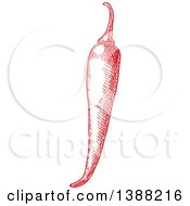 Poster, Art Print Of Sketched Red Chili Pepper