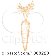 Clipart Of A Sketched Orange Carrot Royalty Free Vector Illustration