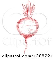 Clipart Of A Sketched Red Beet Royalty Free Vector Illustration