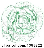 Clipart Of A Sketched Green Head Of Cabbage Royalty Free Vector Illustration