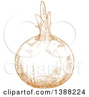 Clipart Of A Sketched Yellow Onion Royalty Free Vector Illustration