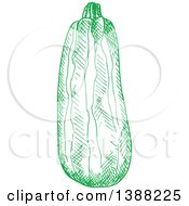 Clipart Of A Sketched Green Zucchini Royalty Free Vector Illustration