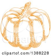 Clipart Of A Sketched Orange Pumpkin Royalty Free Vector Illustration