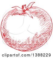 Clipart Of A Sketched Red Tomato Royalty Free Vector Illustration