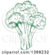 Clipart Of A Sketched Green Head Of Broccoli Royalty Free Vector Illustration