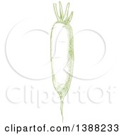 Clipart Of A Sketched Green Daikon Radish Royalty Free Vector Illustration by Vector Tradition SM