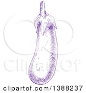 Clipart Of A Sketched Purple Eggplant Royalty Free Vector Illustration