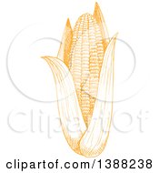 Clipart Of A Sketched Yellow Ear Of Corn Royalty Free Vector Illustration