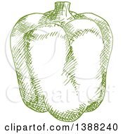 Clipart Of A Sketched Green Bell Pepper Royalty Free Vector Illustration