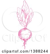 Clipart Of A Sketched Pink Beet Royalty Free Vector Illustration