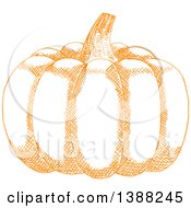 Clipart Of A Sketched Orange Pumpkin Royalty Free Vector Illustration
