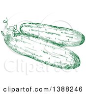 Poster, Art Print Of Sketched Green Cucumbers
