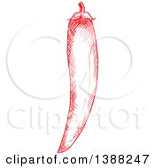 Clipart Of A Sketched Red Chili Pepper Royalty Free Vector Illustration