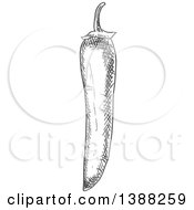 Clipart Of A Sketched Gray Chili Pepper Royalty Free Vector Illustration