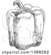 Clipart Of A Sketched Gray Bell Pepper Royalty Free Vector Illustration
