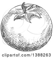 Clipart Of A Sketched Gray Tomato Royalty Free Vector Illustration