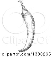 Poster, Art Print Of Sketched Gray Chili Pepper