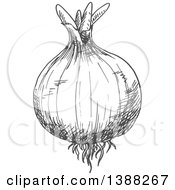 Clipart Of A Sketched Gray Onion Royalty Free Vector Illustration