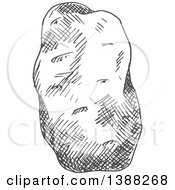 Poster, Art Print Of Sketched Gray Potato