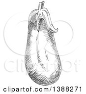 Poster, Art Print Of Sketched Gray Eggplant