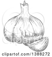 Clipart Of A Sketched Gray Gralic Bulb Royalty Free Vector Illustration