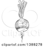Clipart Of A Sketched Gray Beet Royalty Free Vector Illustration