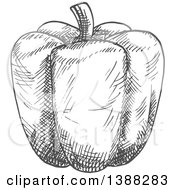 Clipart Of A Sketched Gray Bell Pepper Royalty Free Vector Illustration