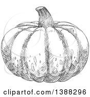 Clipart Of A Sketched Gray Pumpkin Royalty Free Vector Illustration