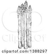 Clipart Of Sketched Gray Asparagus Stalks Royalty Free Vector Illustration by Vector Tradition SM