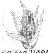Clipart Of A Sketched Gray Ear Of Corn Royalty Free Vector Illustration