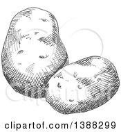 Clipart Of Sketched Gray Potatoes Royalty Free Vector Illustration