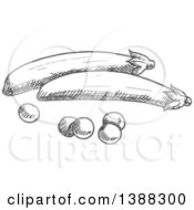 Clipart Of Sketched Gray Peas Royalty Free Vector Illustration