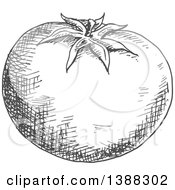 Poster, Art Print Of Sketched Gray Tomato