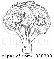 Clipart Of A Sketched Gray Head Of Broccoli Royalty Free Vector Illustration