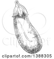 Clipart Of A Sketched Gray Eggplant Royalty Free Vector Illustration