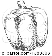 Clipart Of A Sketched Gray Bell Pepper Royalty Free Vector Illustration by Vector Tradition SM