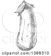 Poster, Art Print Of Sketched Gray Eggplant