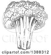 Clipart Of A Sketched Gray Head Of Broccoli Royalty Free Vector Illustration by Vector Tradition SM