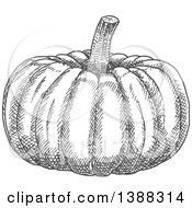Clipart Of A Sketched Gray Pumpkin Royalty Free Vector Illustration
