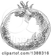 Clipart Of A Sketched Gray Tomato Royalty Free Vector Illustration