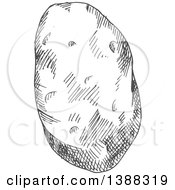 Clipart Of A Sketched Gray Potato Royalty Free Vector Illustration