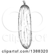 Poster, Art Print Of Sketched Gray Cucumber