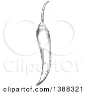 Clipart Of A Sketched Gray Chili Pepper Royalty Free Vector Illustration