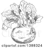 Clipart Of A Sketched Gray Kohlrabi Royalty Free Vector Illustration