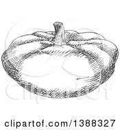 Clipart Of A Sketched Gray Pumpkin Or Squash Royalty Free Vector Illustration by Vector Tradition SM