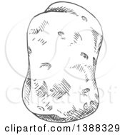 Clipart Of A Sketched Gray Potato Royalty Free Vector Illustration
