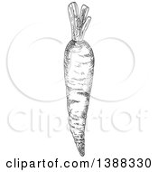 Clipart Of A Sketched Gray Carrot Royalty Free Vector Illustration
