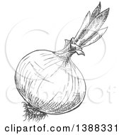 Poster, Art Print Of Sketched Gray Onion